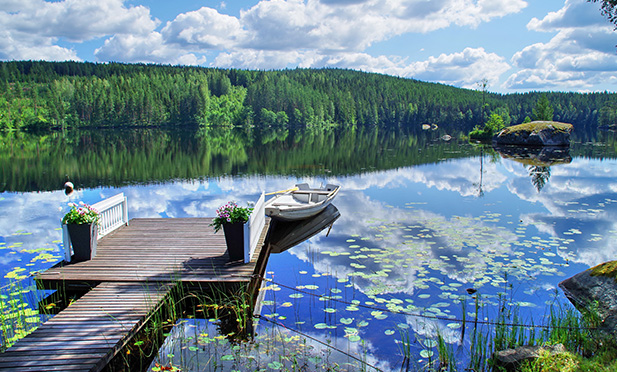Sommarbild